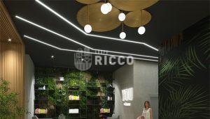 Imobiliaria Ricco 577