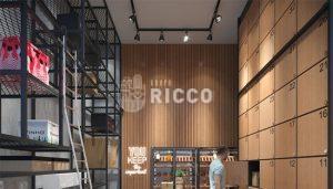 Imobiliaria Ricco 578